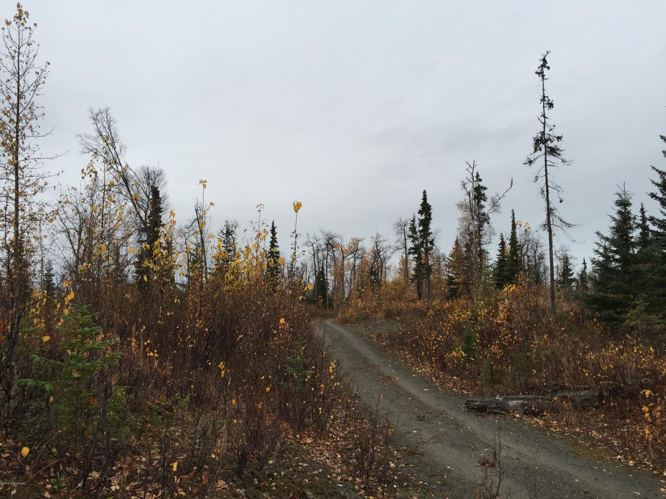 63885 Tailwind Rd, Ninilchik, AK 99639